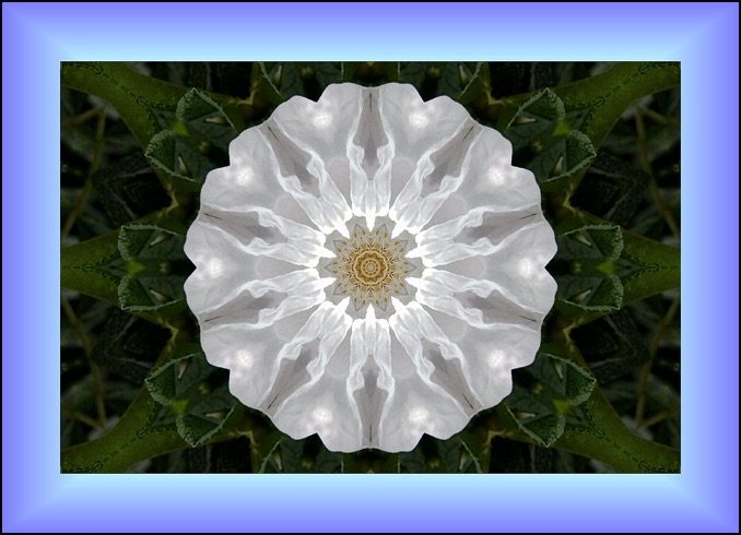 Flower Mandala framed